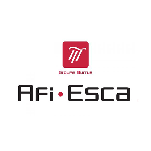 AFI-ESCA Logo
