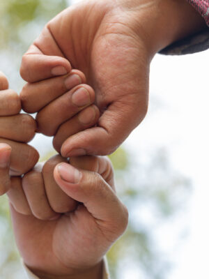 hands-of-trees-growing-seedlings